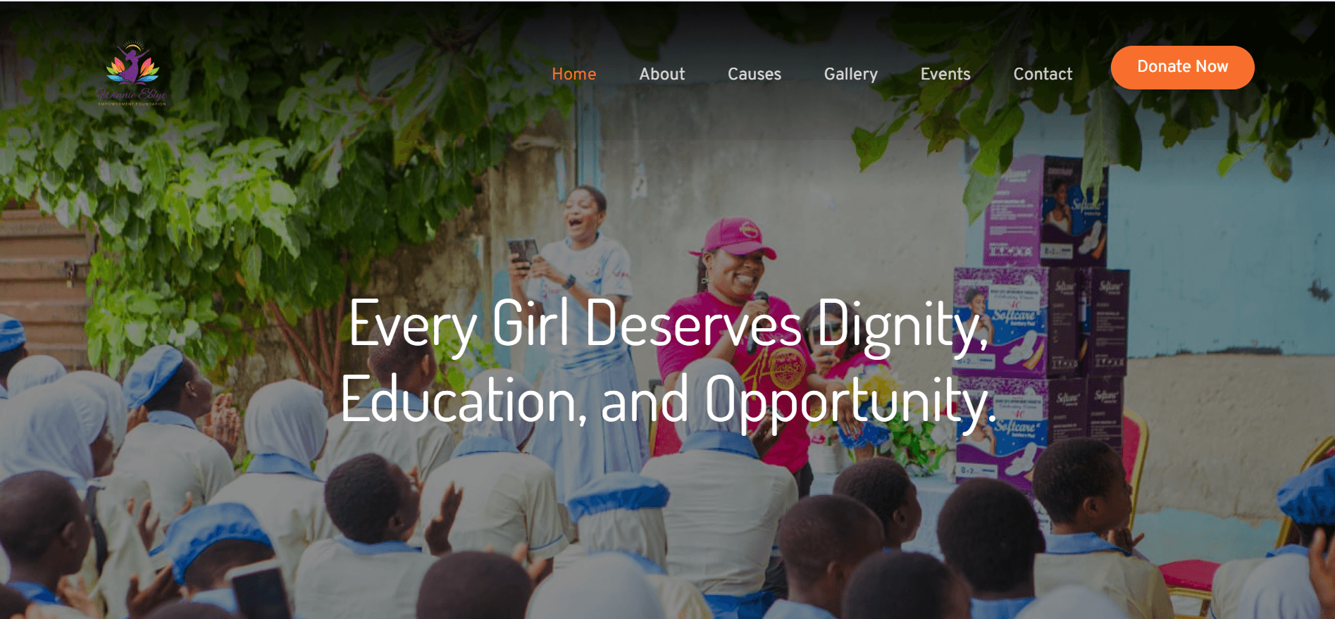 Non-profit Organization Website cover